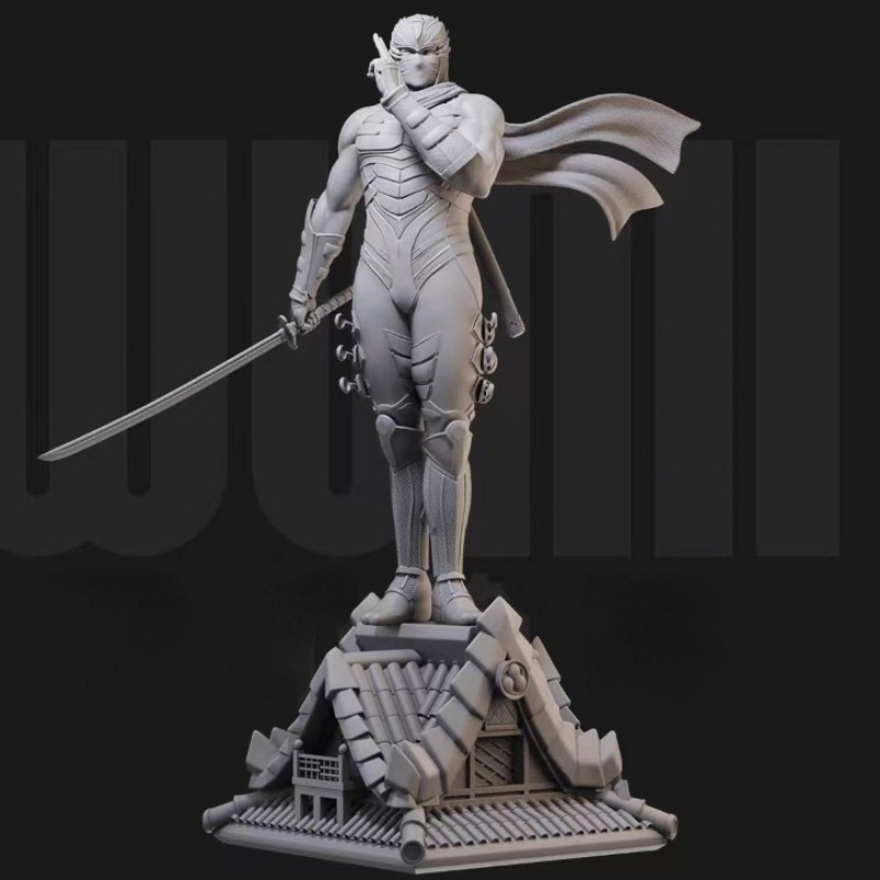 1/24 Miniature Black Robe Ninj - Model Kit Galahad recensione e prezzo