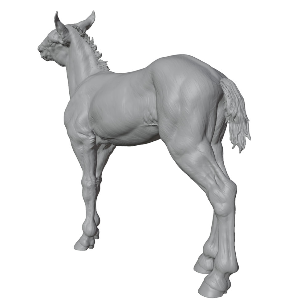 Stampa ad alta risoluzione, st - Model Kit Horse recensione e prezzo