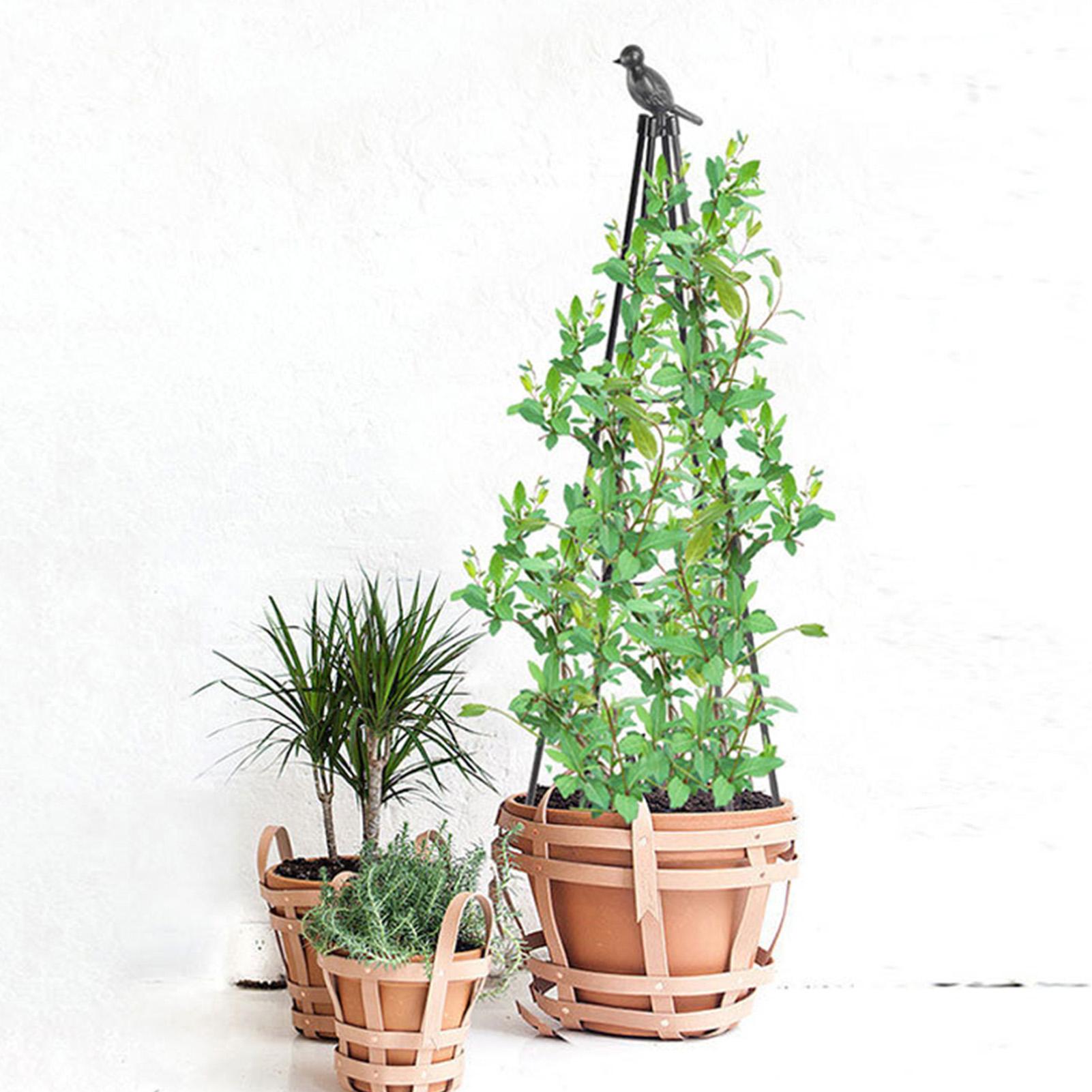 160cm metallo giardino obelisc - Model Kit Obelisk recensione e prezzo